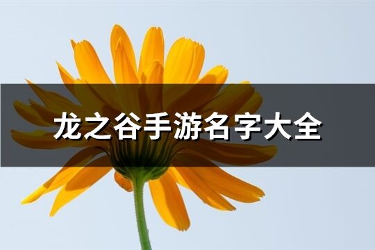 龙之谷手游名字大全(517个)