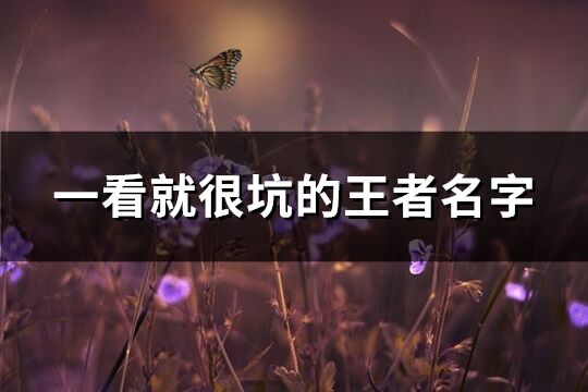 一看就很坑的王者名字(共263个)