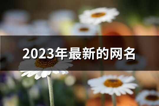 2023年最新的网名(精选1514个)