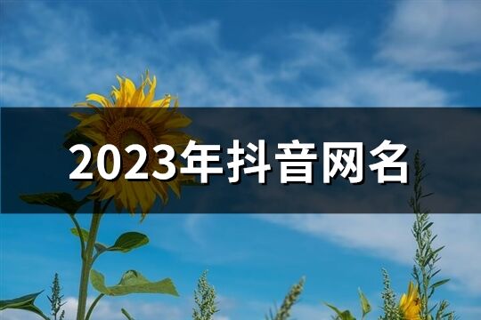 2023年抖音网名(833个)