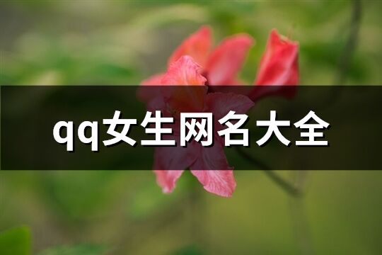 qq女生网名大全(408个)