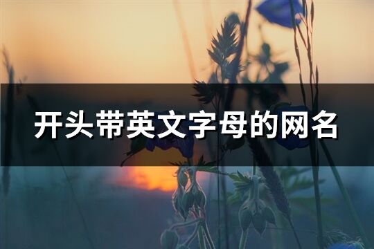 开头带英文字母的网名(共119个)