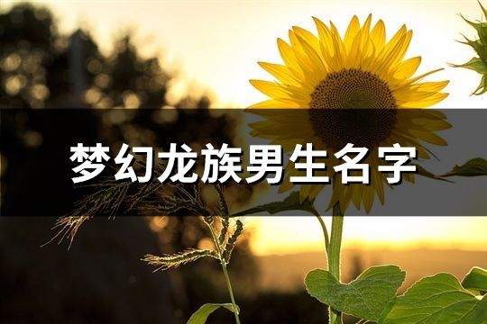 梦幻龙族男生名字(精选307个)