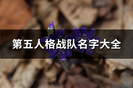 第五人格战队名字大全(共78个)