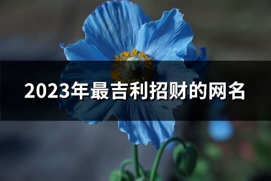 2023年最吉利招财的网名(共671个)