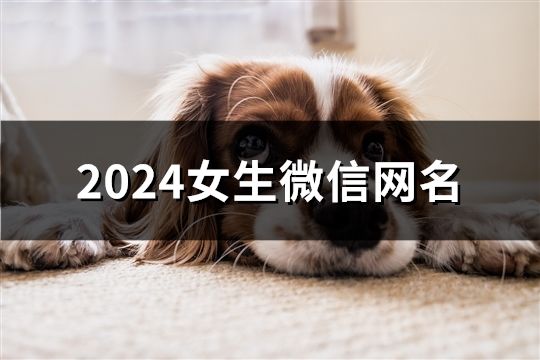 2024女生微信网名(精选2286个)