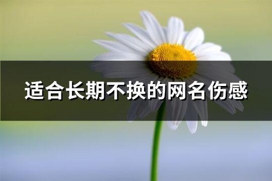 适合长期不换的网名伤感(216个)