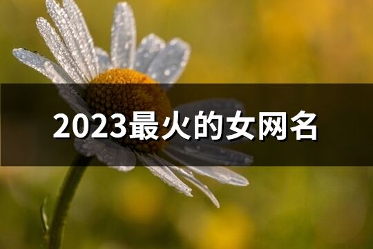 2023最火的女网名(精选1519个)