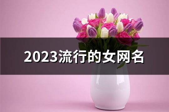 2023流行的女网名(1706个)