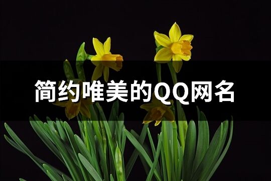 简约唯美的QQ网名(共926个)