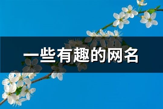 一些有趣的网名(共119个)