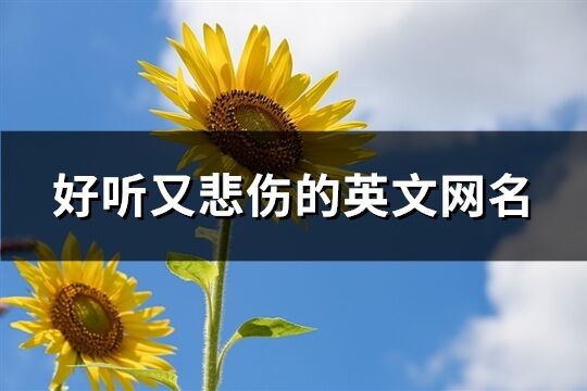 好听又悲伤的英文网名(精选272个)