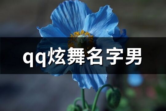 qq炫舞名字男(共342个)