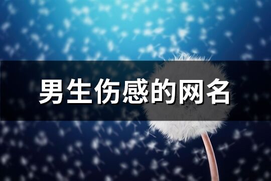 男生伤感的网名(精选537个)