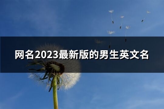 网名2023最新版的男生英文名(精选63个)