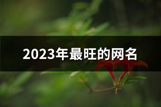 2023年最旺的网名(精选926个)