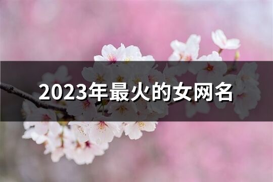 2023年最火的女网名(精选1387个)