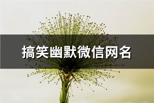 搞笑幽默微信网名(400个)