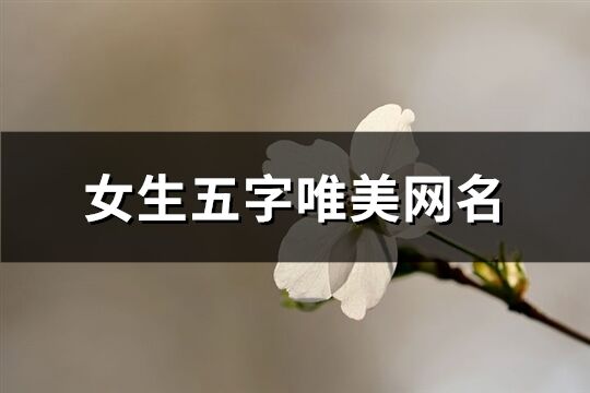 女生五字唯美网名(511个)