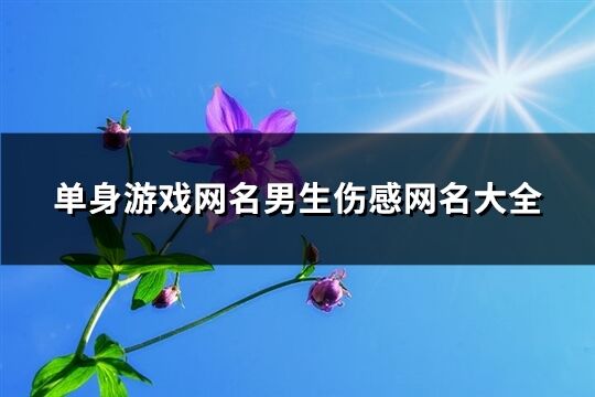 单身游戏网名男生伤感网名大全(精选493个)