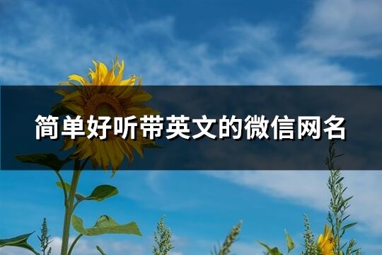 简单好听带英文的微信网名(共89个)