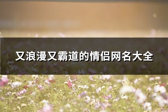 又浪漫又霸道的情侣网名大全(317对)