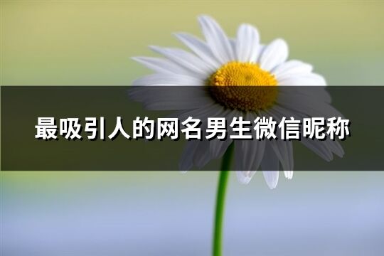 最吸引人的网名男生微信昵称(精选453个)