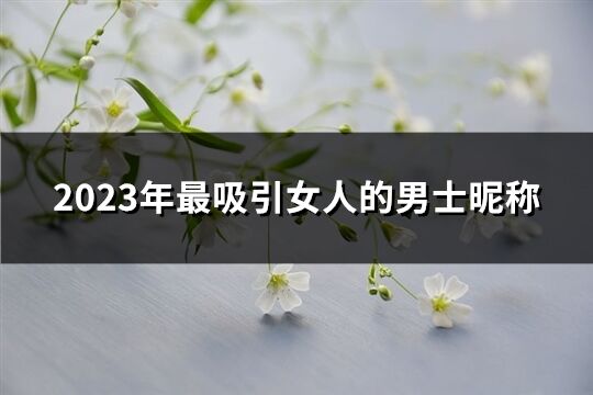 2023年最吸引女人的男士昵称(共632个)