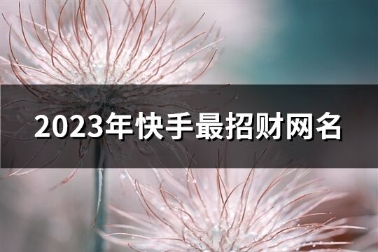 2023年快手最招财网名(1536个)