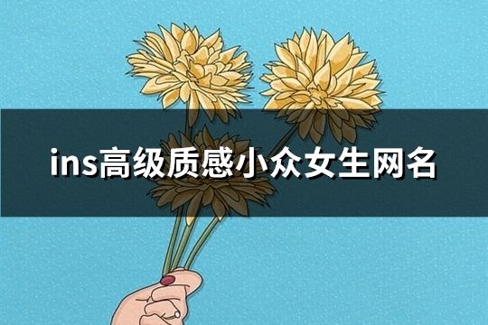 ins高级质感小众女生网名(精选175个)