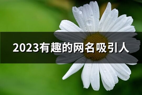 2023有趣的网名吸引人(精选935个)