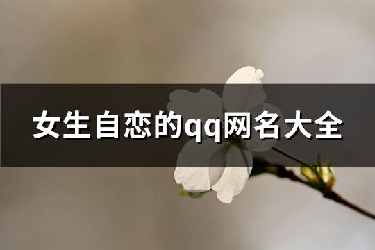 女生自恋的qq网名大全(155个)