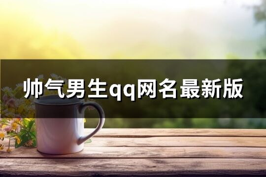 帅气男生qq网名最新版(精选80个)