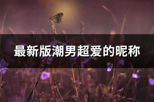 最新版潮男超爱的昵称(精选946个)