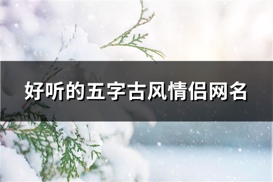 好听的五字古风情侣网名(210对)