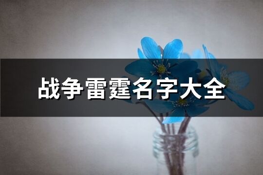 战争雷霆名字大全(共243个)