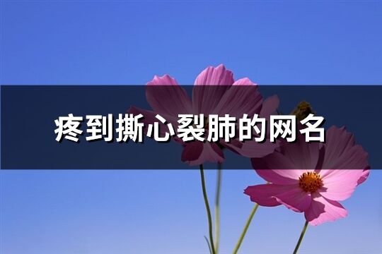 疼到撕心裂肺的网名(精选124个)