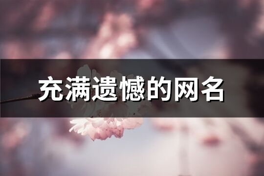 充满遗憾的网名(148个)