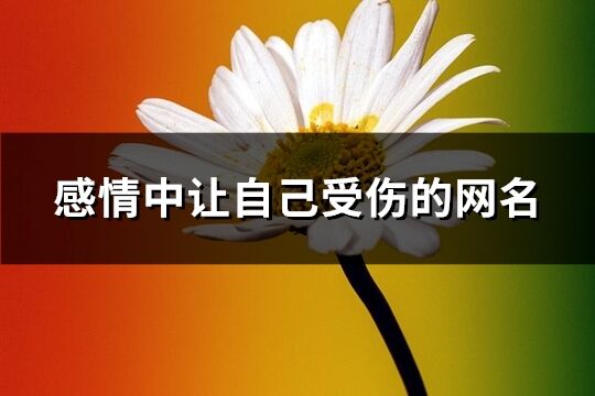 感情中让自己受伤的网名(共218个)