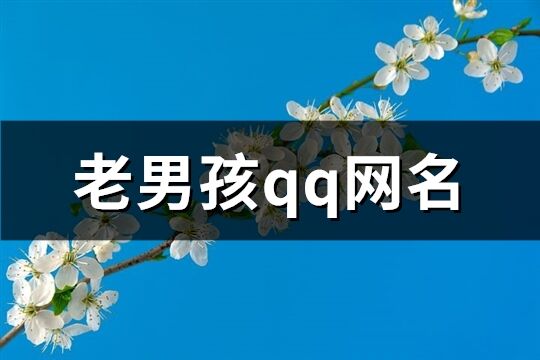 老男孩qq网名(共274个)