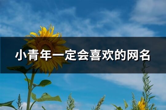 小青年一定会喜欢的网名(共342个)