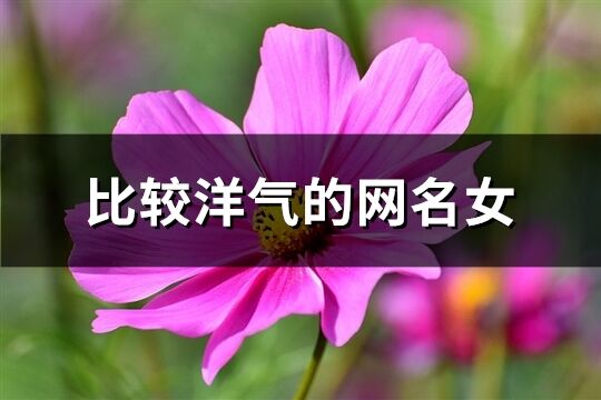 比较洋气的网名女(共400个)