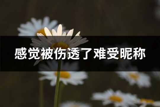 感觉被伤透了难受昵称(330个)