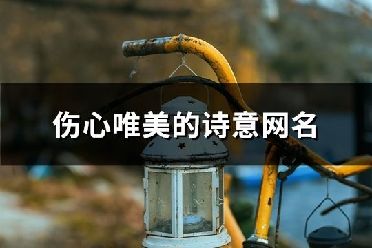 伤心唯美的诗意网名(287个)