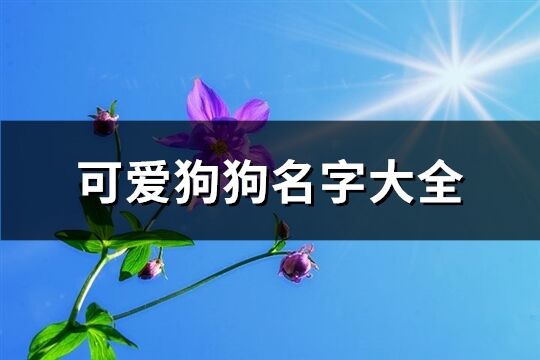 可爱狗狗名字大全(精选105个)