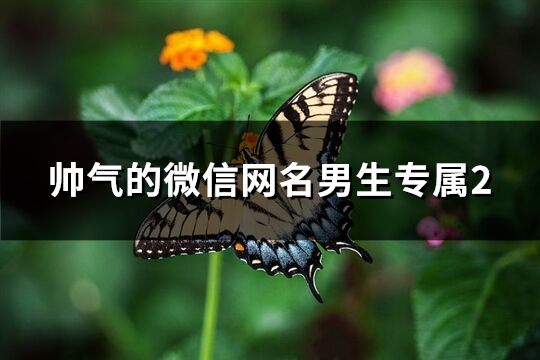 帅气的微信网名男生专属2(824个)