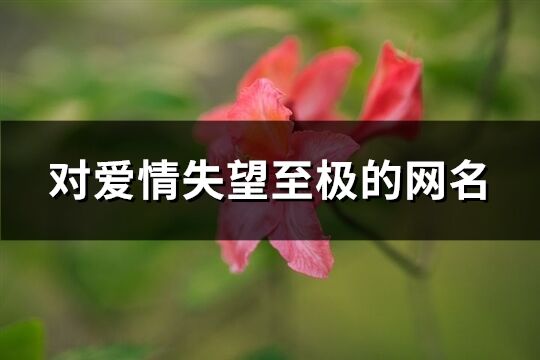 对爱情失望至极的网名(共143个)