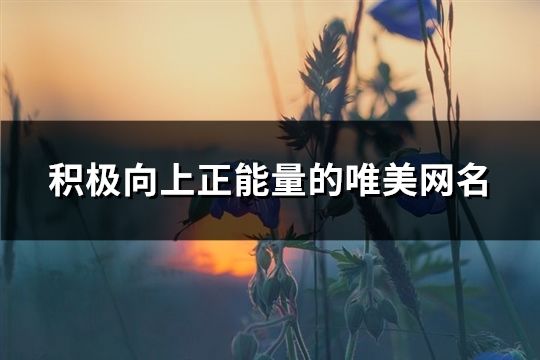 积极向上正能量的唯美网名(共627个)