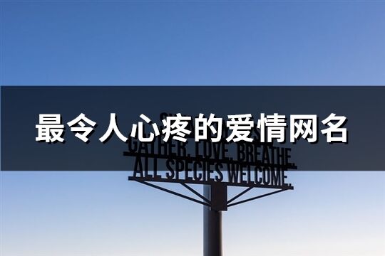 最令人心疼的爱情网名(106个)