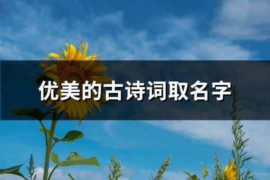 优美的古诗词取名字(共119个)